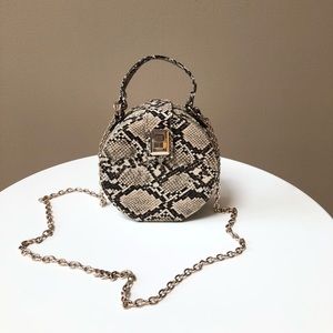 Beautiful woman purse